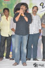 Brother Of Bommali Movie Success Meet